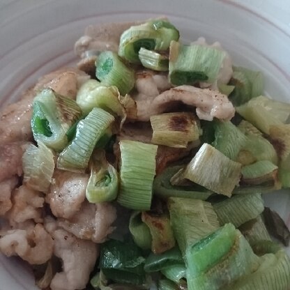 お昼は丼！と子どものリクエストでおおまかに切った葱た～っぷり乗せ焼き葱にすると味付け無しでも甘くて美味しかったです。豚肉も味が沁みて子どもがガツガツ食べました！